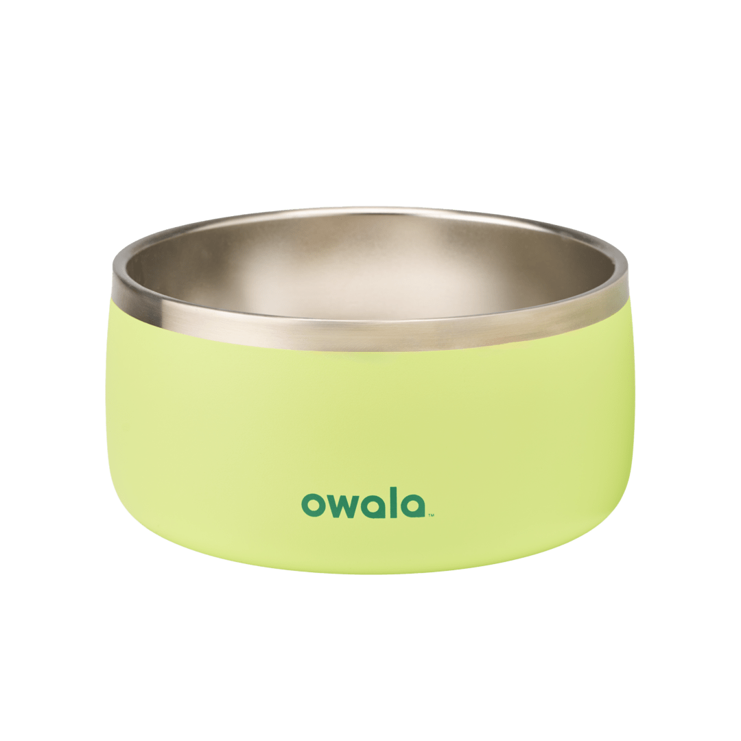 Pet Bowl X3oi