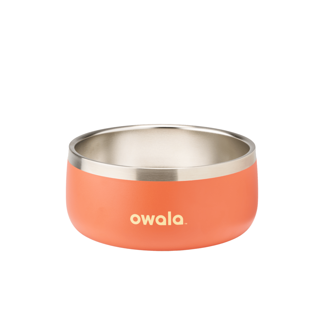 Pet Bowl X3oi