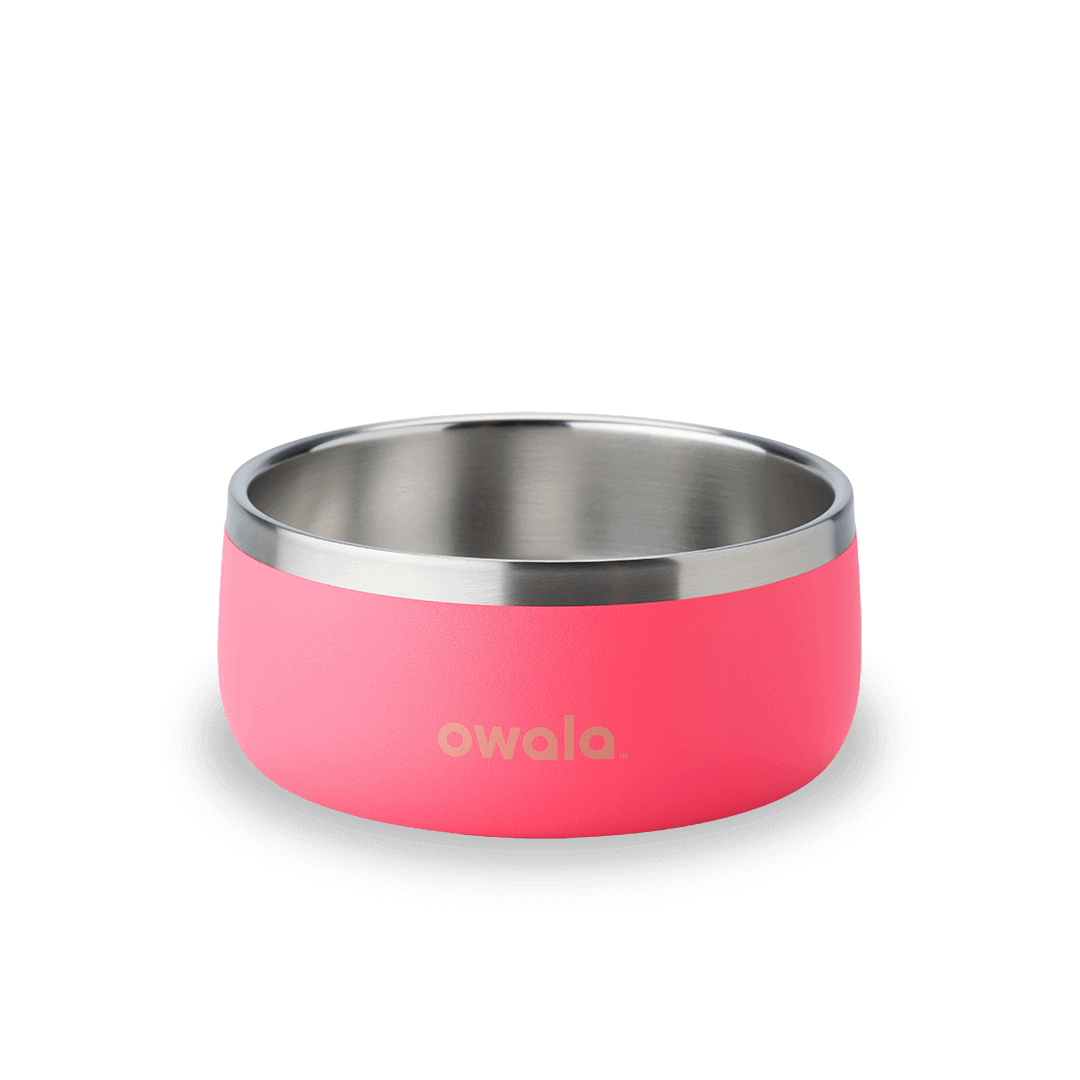 Pet Bowl X3oi