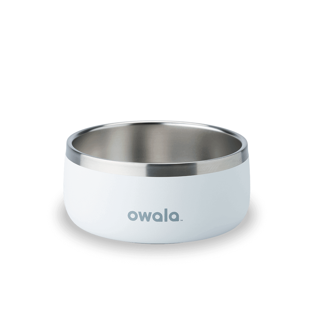 Pet Bowl X3oi