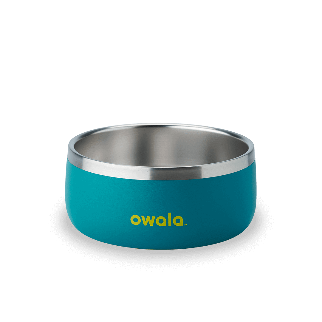 Pet Bowl X3oi