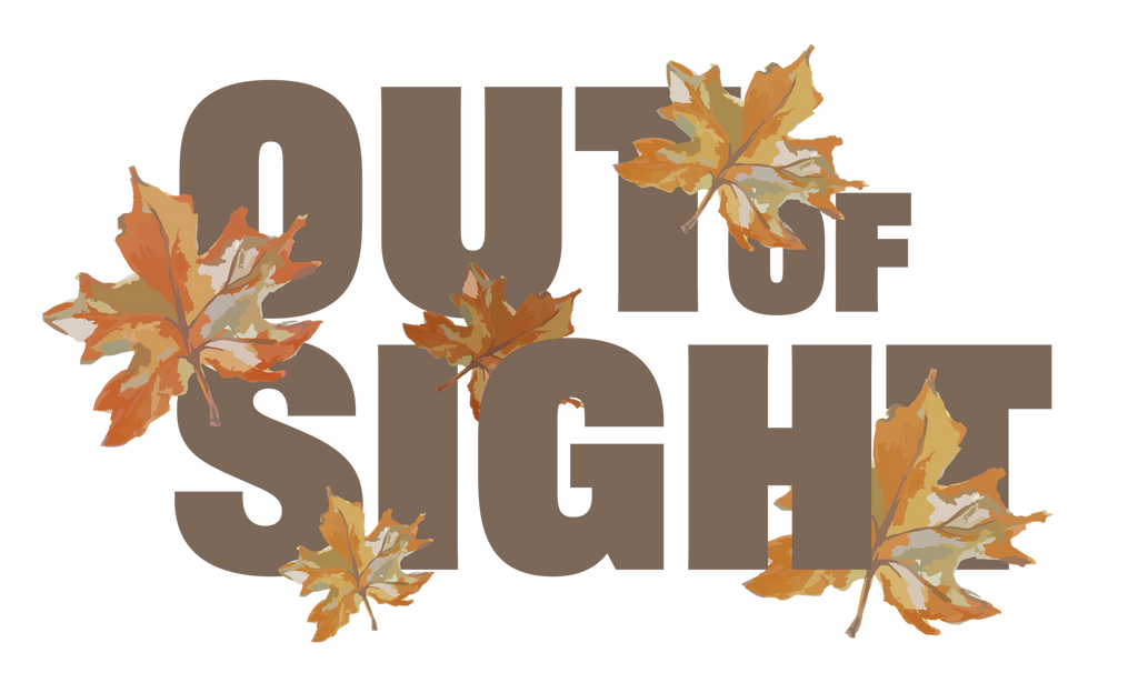 Out of Sight V4hb