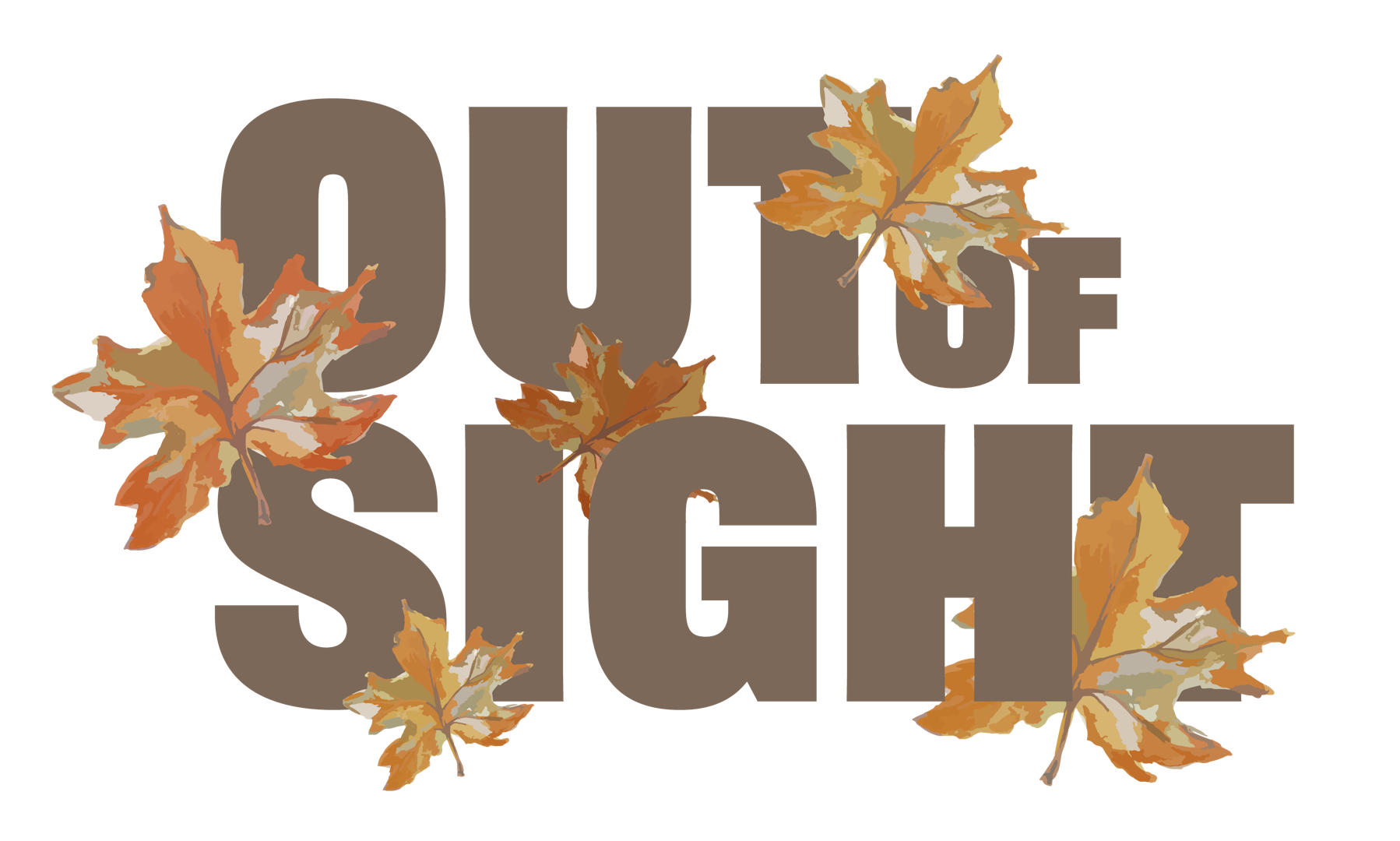 Out of Sight V4hb
